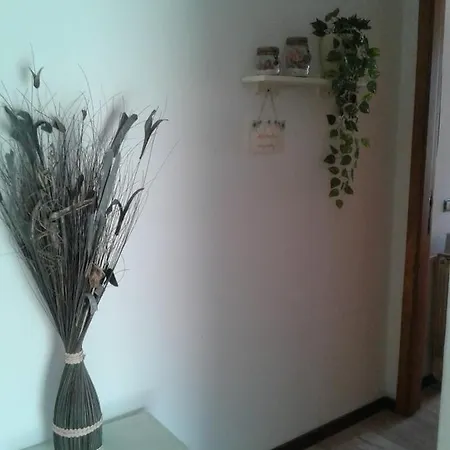 Arba Girasole